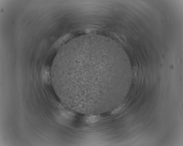 X0000074260527200609081739