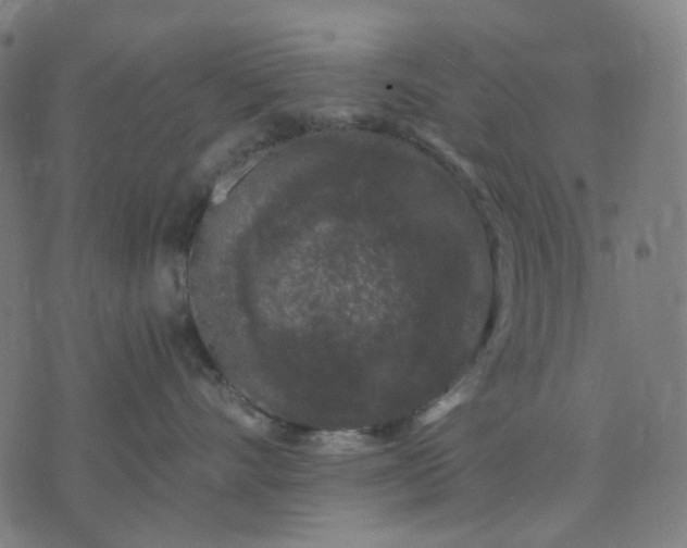 X0000074260528200609081739