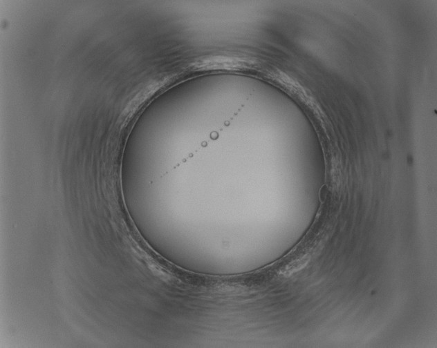 X0000074260529200609081738