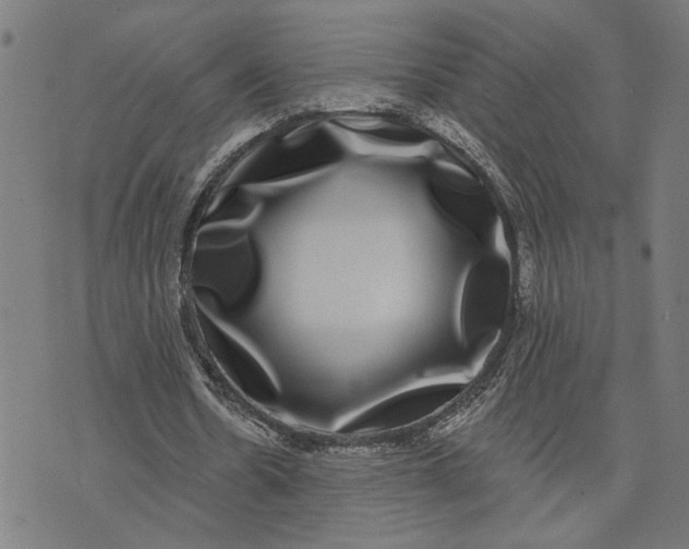 X0000074260530200609081738