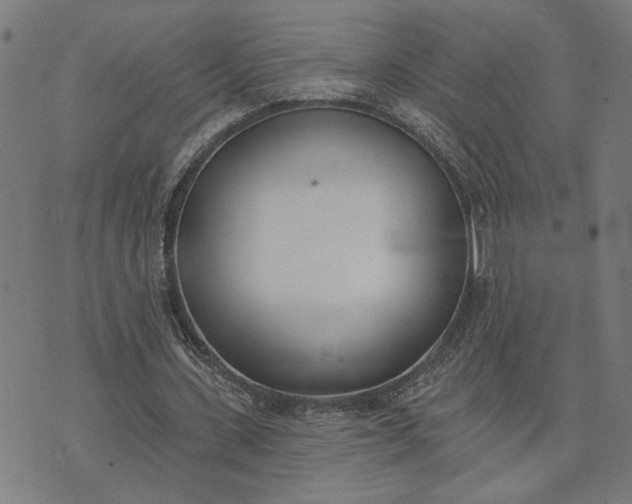 X0000074260531200609081738