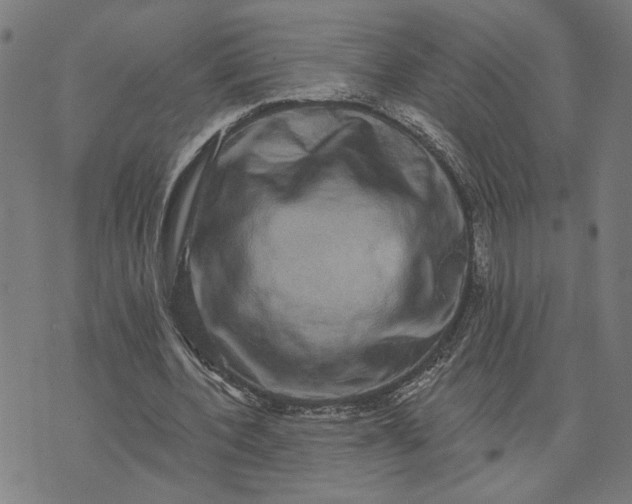 X0000074260532200609081738