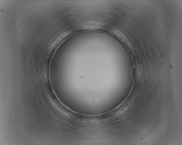 X0000074260533200609081738