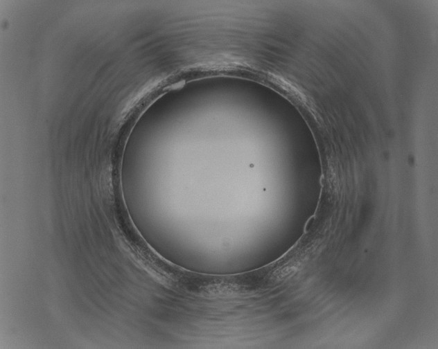 X0000074260535200609081738