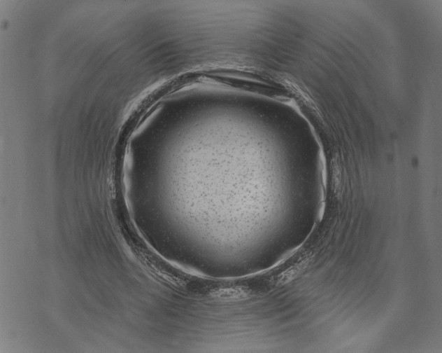 X0000074260536200609081738