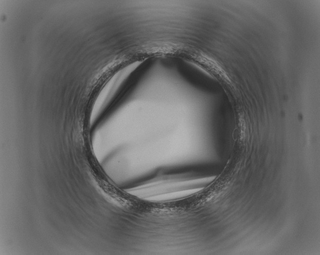 X0000074260538200609081738