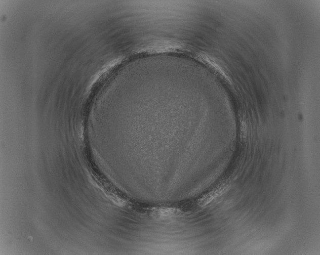 X0000074260539200609081739