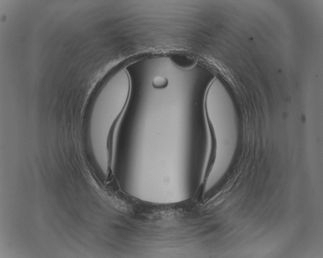 X0000074260540200609081739