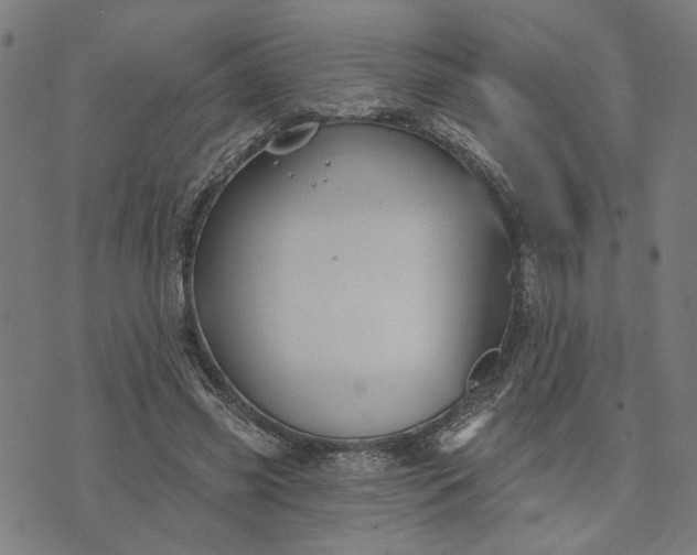 X0000074260541200609081739