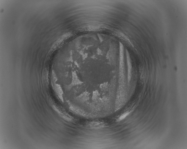 X0000074260542200609081739