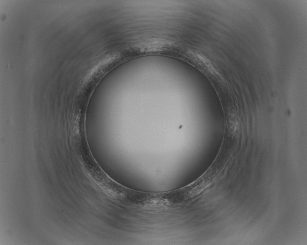 X0000074260543200609081739