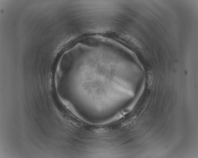 X0000074260544200609081739