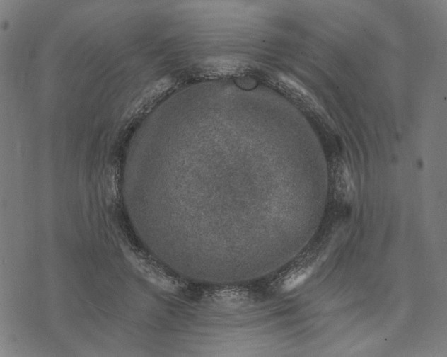 X0000074260546200609081739