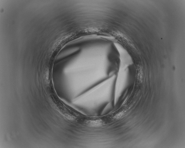 X0000074260548200609081739