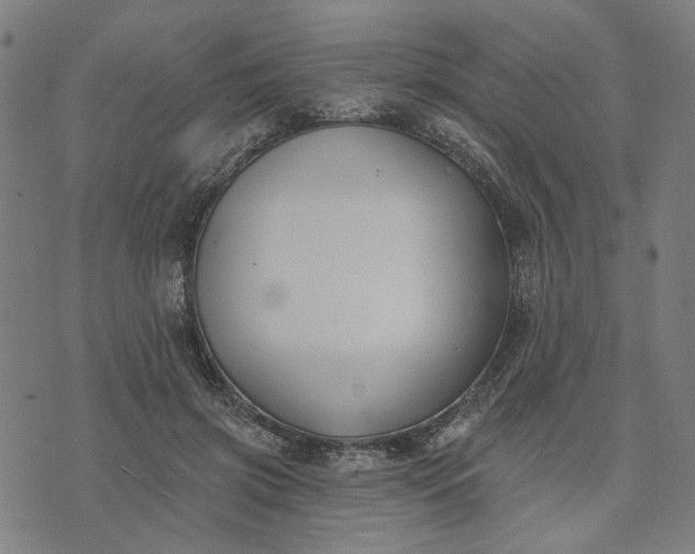 X0000074260549200609081739