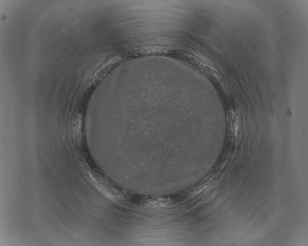 X0000074260550200609081739