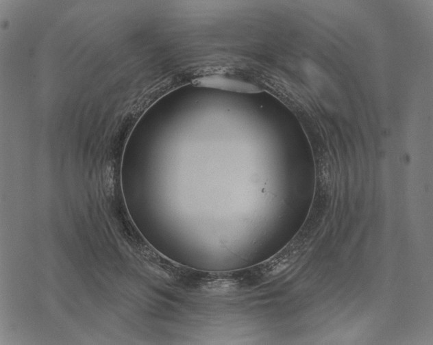 X0000074260551200609081739