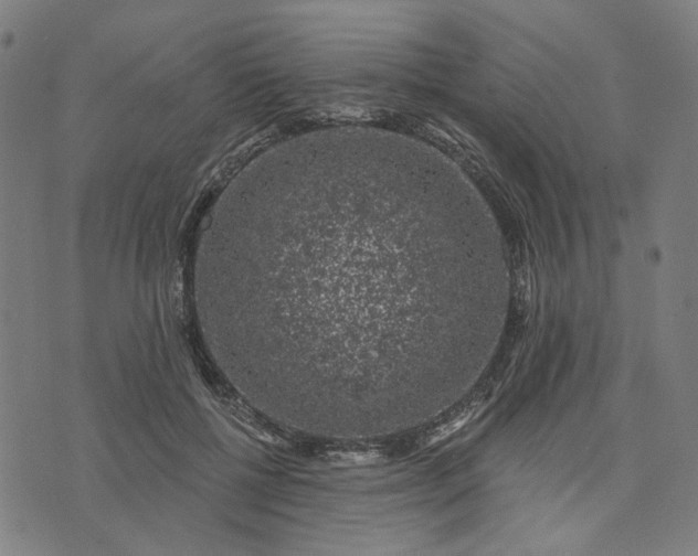 X0000074260552200609081739