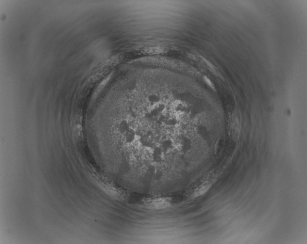 X0000074260553200609081739