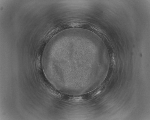 X0000074260554200609081739