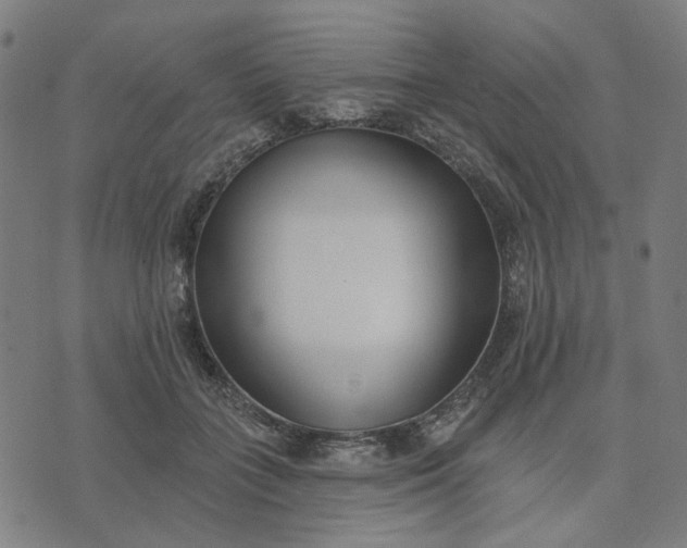 X0000074260555200609081739