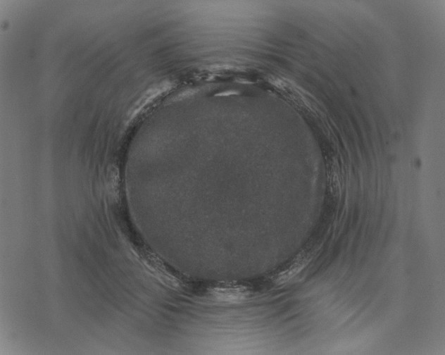 X0000074260556200609081739