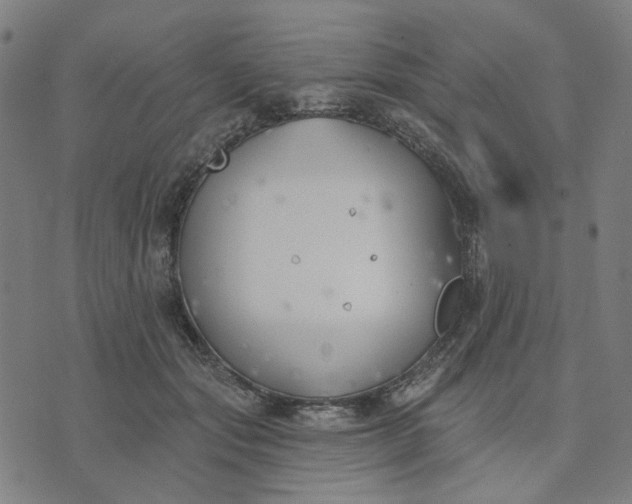 X0000074260557200609081739