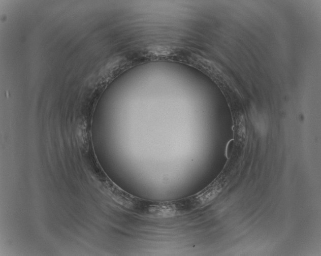 X0000074260559200609081739