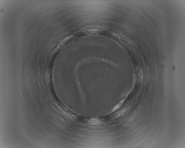 X0000074260562200609081739