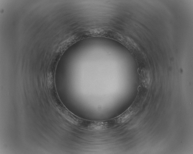 X0000074260563200609081739