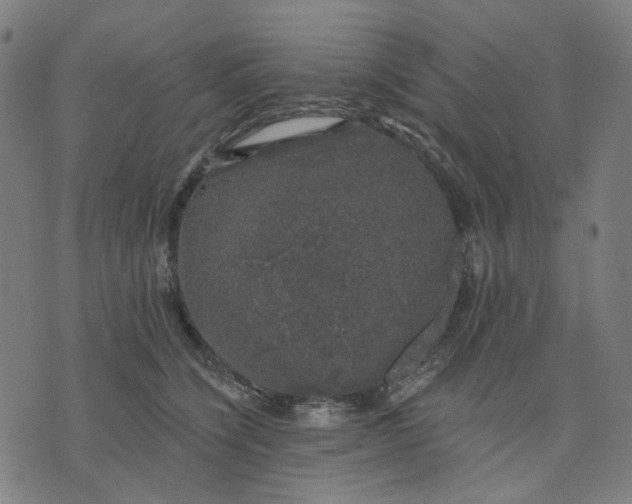 X0000074260564200609081739