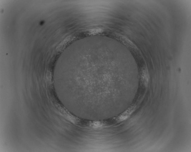 X0000074260565200609081739