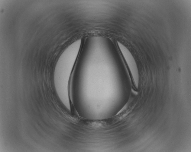 X0000074260566200609081739