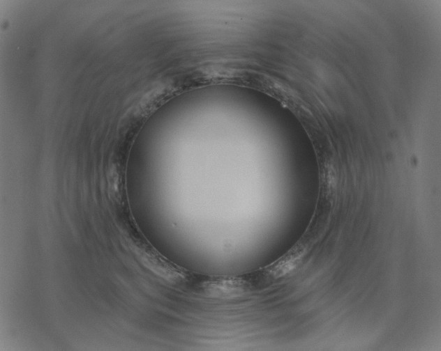 X0000074260567200609081739