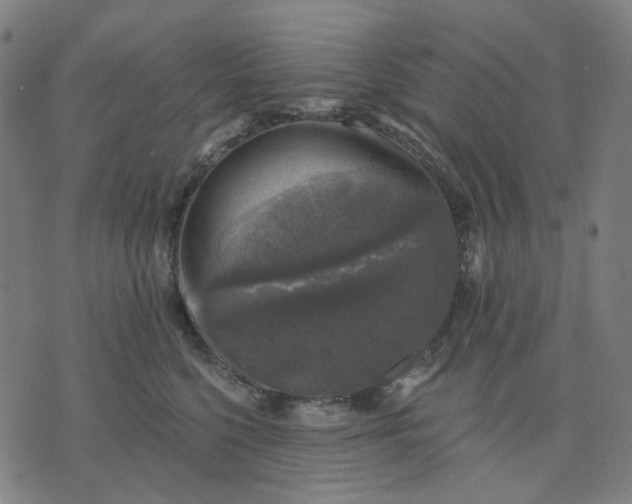 X0000074260568200609081739