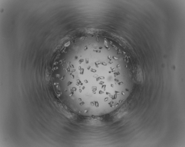 X0000074260569200609081739