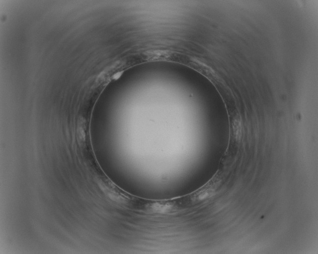 X0000074260570200609081739