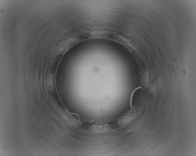 X0000074260571200609081739