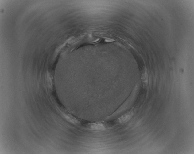 X0000074260572200609081739