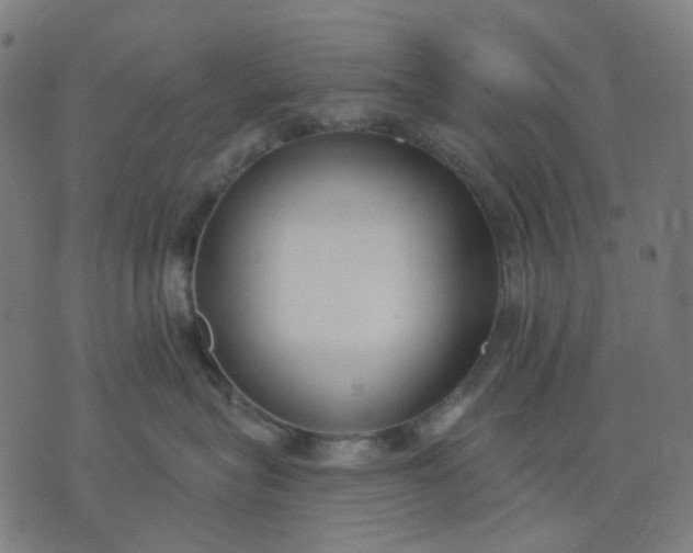 X0000074260575200609081739