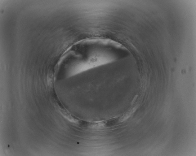 X0000074260576200609081739