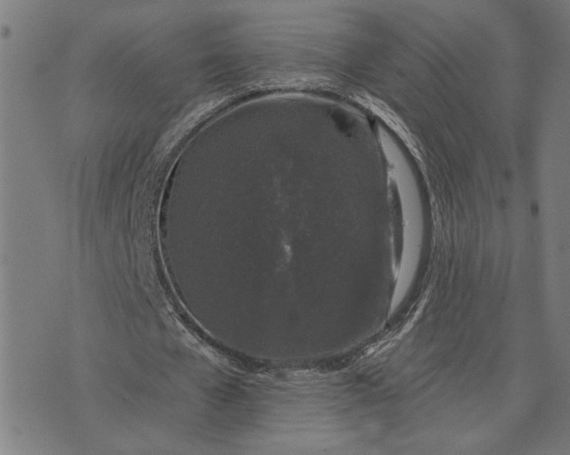 X0000074260577200609081738