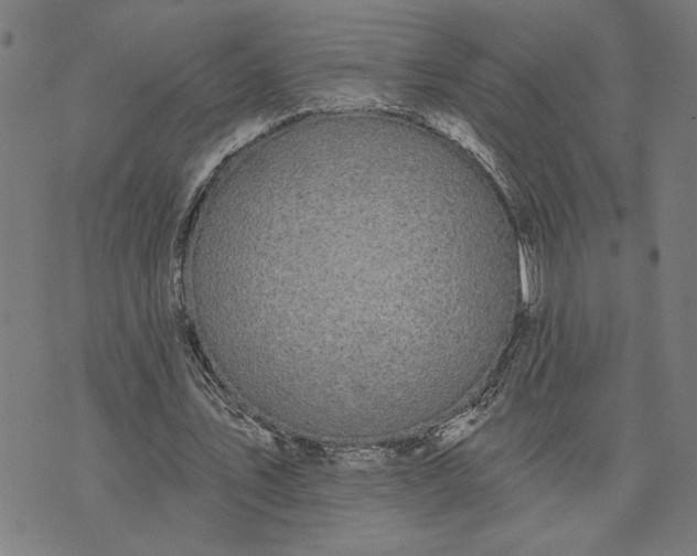 X0000074260579200609081738