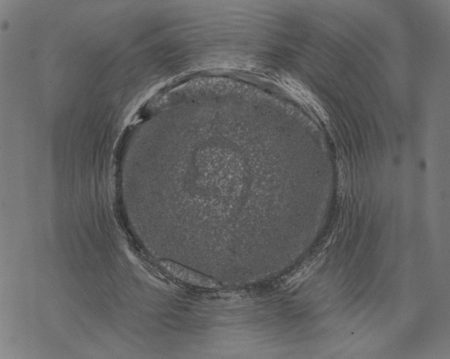 X0000074260580200609081738