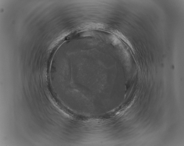 X0000074260581200609081738