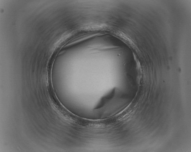 X0000074260582200609081738