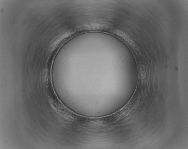 X0000074260583200609081738