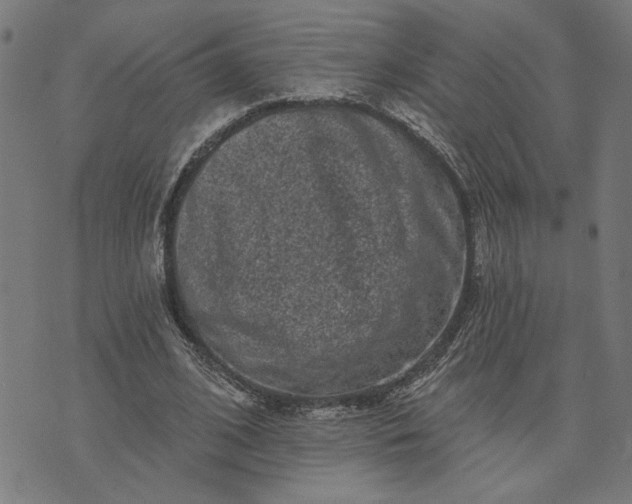 X0000074260584200609081738