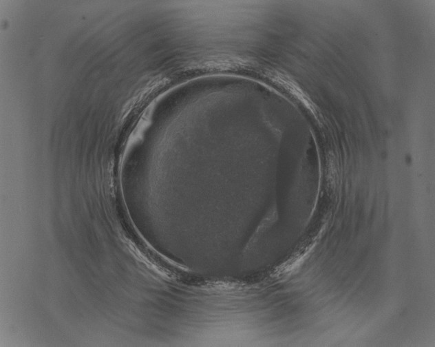 X0000074260585200609081738