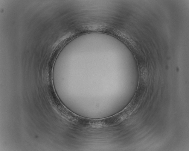 X0000074260587200609081738